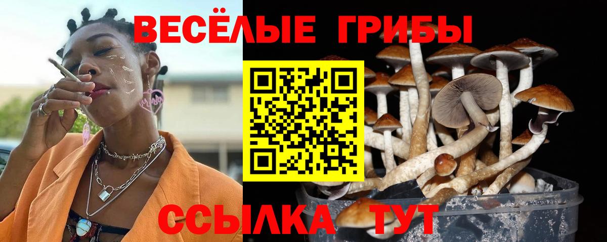 Галлюциногенные грибы ЛСД  Вход с VPN  Дедовск 