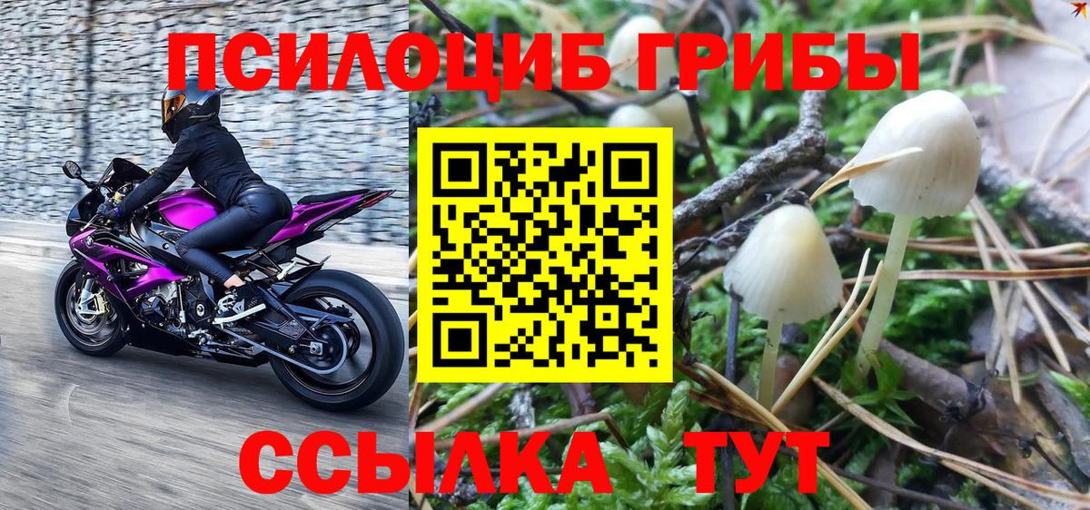 Псилоцибиновые грибы мухоморы Дедовск